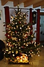 Christbaum loben 2014