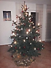 Christbaum loben 2014