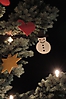 2015_Weihnachtsbaum Singen_13