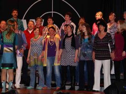 chormedy 066