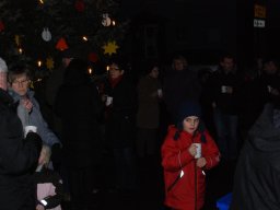 2013 lk weinachtsbaum-singen 06