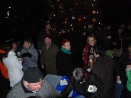 2013 lk weinachtsbaum-singen 07