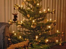 Christbaum loben 2014