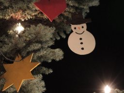 2015 weihnachtsbaum singen 13