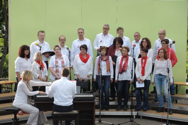 vielharmoniker altenmuenster 17 20160907 1847663554