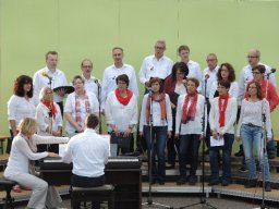 vielharmoniker altenmuenster 17 20160907 1847663554