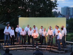 vielharmoniker altenmuenster 21 20160907 2067246134