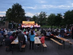 vielharmoniker altenmuenster 24 20160907 1115434092