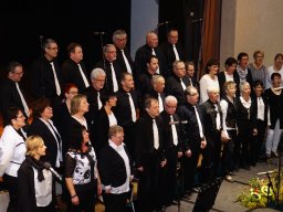 2017 konzert mit musica dankoltsweiler 02
