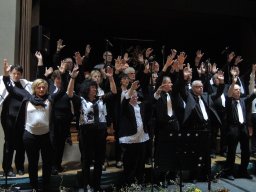 2017 konzert mit musica dankoltsweiler 05
