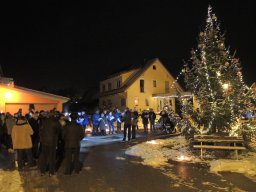 2017 weihnachtsbaum singen 07